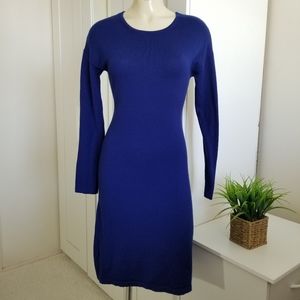Garnet Hill Blue Merino Wool Long Sleeve Dress